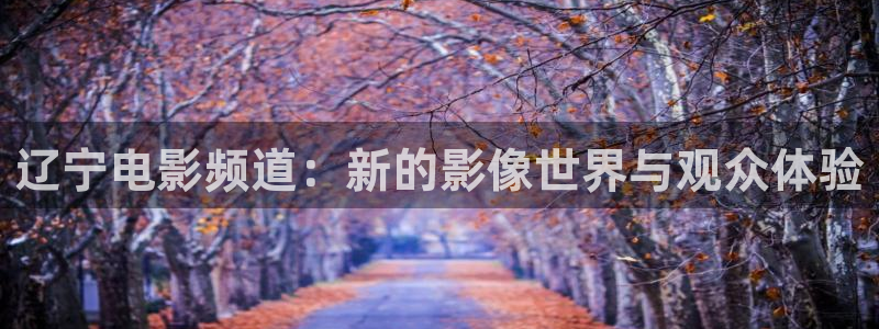 神马影院第九电影