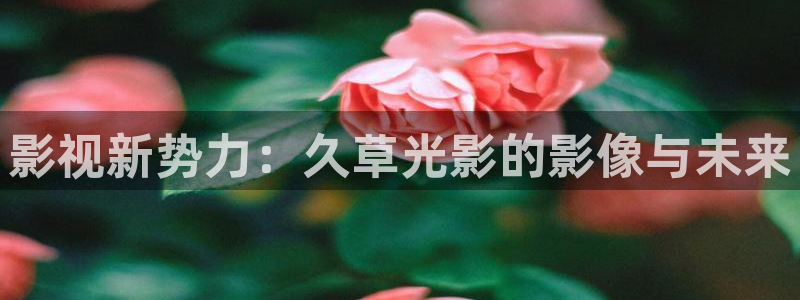 神马午夜噜噜片