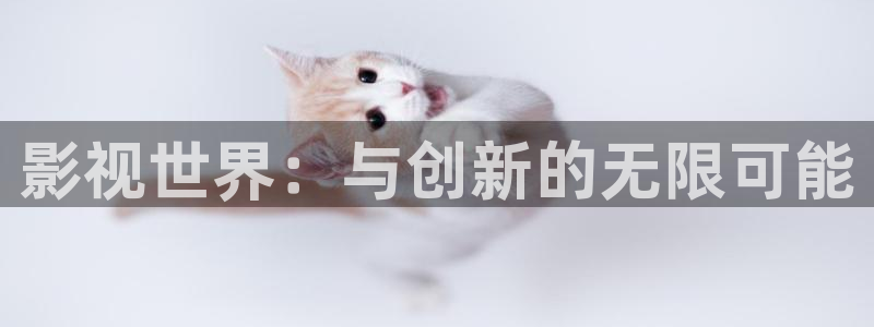 神马影院在线手机电影